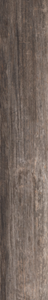 806-1805B Brown 2