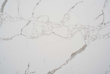 Load image into Gallery viewer, 313-118