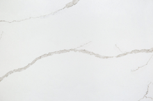 Load image into Gallery viewer, 313-301-709